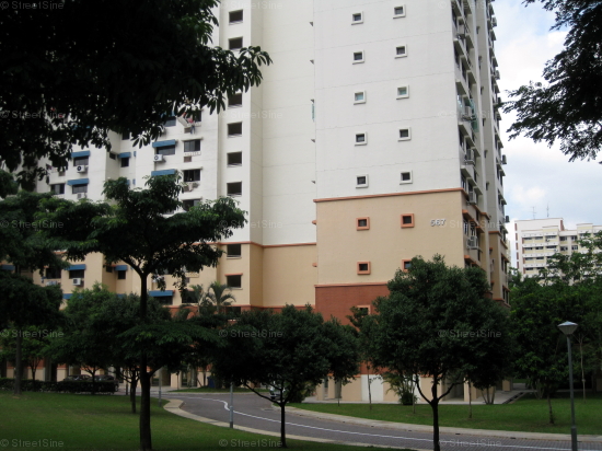 Blk 567 Hougang Street 51 (S)530567 #241812
